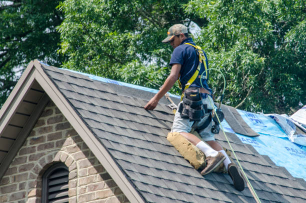 Best Roof Maintenance Services  in Sibley, LA